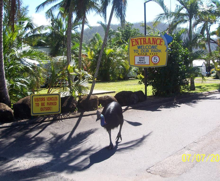 Flying Fish Point Tourist Park Hotell Innisfail Eksteriør bilde