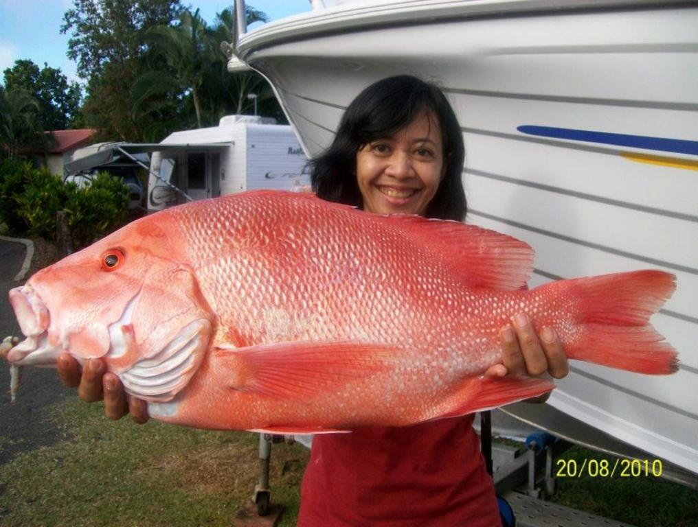 Flying Fish Point Tourist Park Hotell Innisfail Eksteriør bilde