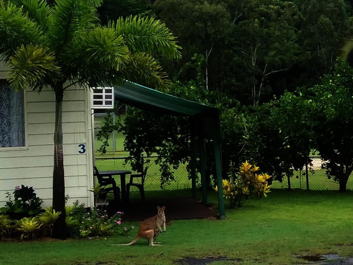 Flying Fish Point Tourist Park Hotell Innisfail Eksteriør bilde